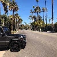 Отзыв от Олег - виза ДТВ